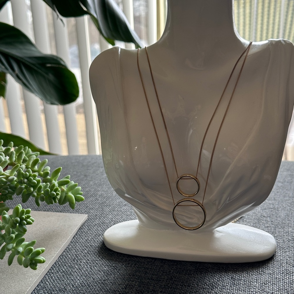 NWT Banana Republic Dual Circular Layered Necklace